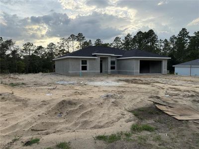 New construction Single-Family house 6022 Sw 206Th Ave, Dunnellon, FL 34431 - image