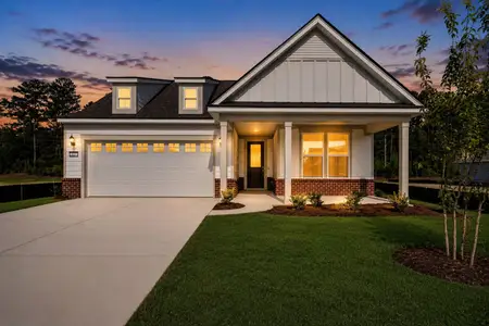 New construction Single-Family house 657 Coral Bells Ln, Summerville, SC 29486 plan Prosperity - image