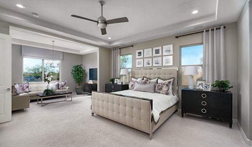 Estates at Arroyo Seco by Richmond American Homes in Buckeye - photo 11 11