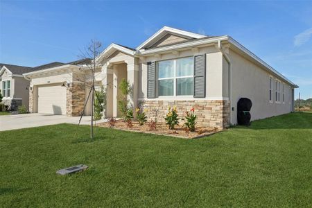 New construction Single-Family house 10509 Bridgegate Heights Lp, San Antonio, FL 33576 - image