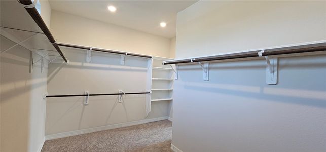 New construction Single-Family house 1906 Ashlee Ct, Dickinson, TX 77539 - image 14