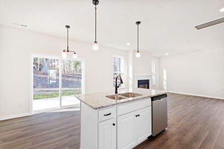 New construction Single-Family house 490 Oak Park Blvd, Youngsville, NC 27596 The Lockwood III- photo 50 50