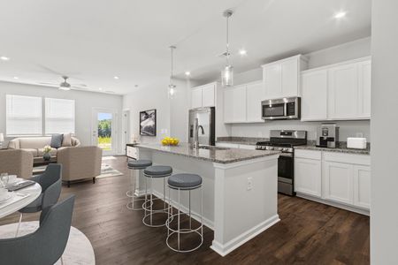 New construction Single-Family house 309 Red Globe Trl, Lexington, SC 29072 plan The Yarmouth - image