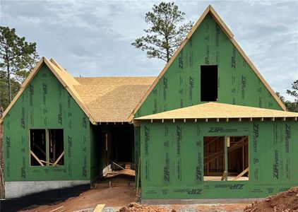 New construction Single-Family house 0 Forest Berry Ct, Newnan, GA 30265 - image 3