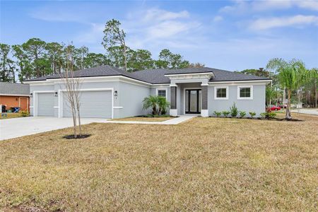 New construction Single-Family house 2 Wagner Pl, Palm Coast, FL 32164 null- photo 0