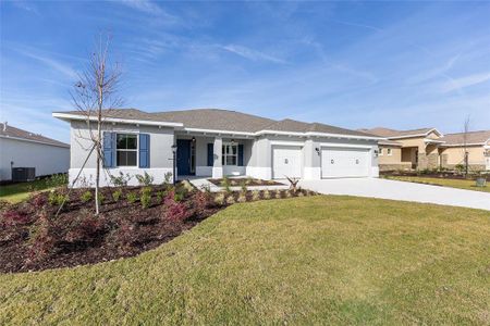 New construction Single-Family house 10055 Sw 106Th Cir, Ocala, FL 34481 plan Beatrix - image 18