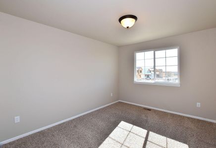 New construction Single-Family house 437 Vivid Ln , Evans, CO 80634 - photo 10 10