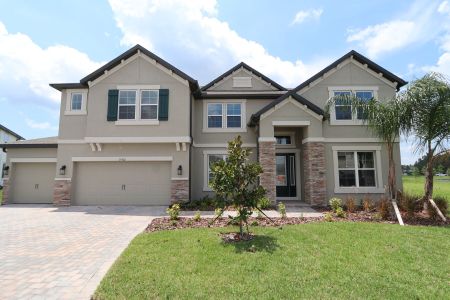 New construction Single-Family house 19302 Foggy Creek Lane, Tampa, FL 33647 Grandsail  III- photo 0