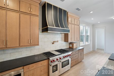 New construction Single-Family house 1021 Courtney Ln, Unit 17, Wesley Chapel, NC 28173 - image 9