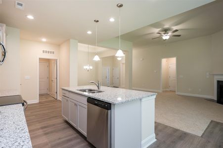 Crystal Village by Adams Homes in Albemarle - photo 25 25