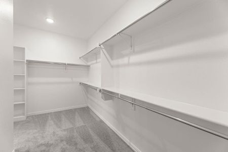 New construction Single-Family house 252 Bright Alcove Ct, Lavon, TX 75166 plan Walton - image 16