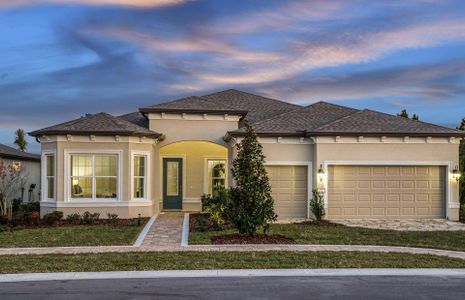 New construction Single-Family house 6027 Sw 86Th Cir, Ocala, FL 34481 Stellar- photo 0