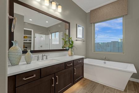 New construction Single-Family house 2542 E Quenton St, Mesa, AZ 85213 plan Residence Six - image 11