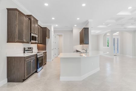 New construction Single-Family house 51 E Diamond Dr, Palm Coast, FL 32164 plan Oakmont - image 18