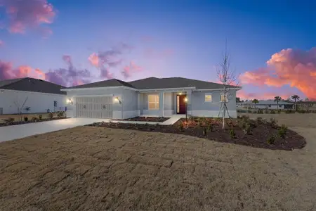 New construction Single-Family house 9936 Sw 106Th Cir, Ocala, FL 34481 plan Livingston - image
