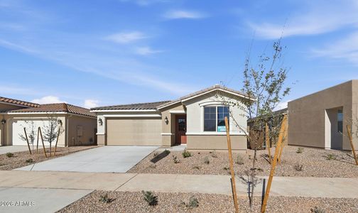 New construction Single-Family house 23042 E Diana Wy, Queen Creek, AZ 85142 plan Sepia - image