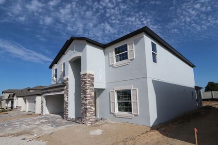 New construction Single-Family house 12176 Hilltop Farms Dr, Dade City, FL 33525 Malibu- photo 92 92