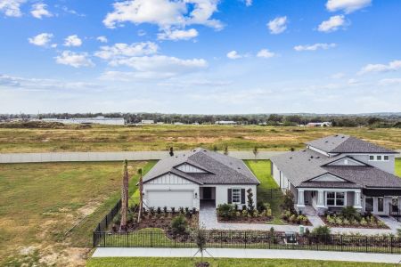 New construction Single-Family house 11843 Hilltop Farms Dr, Dade City, FL 33525 Sentinel- photo 46 46