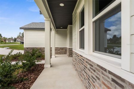 New construction Single-Family house 3 Lupine St, Homosassa, FL 34446 - image