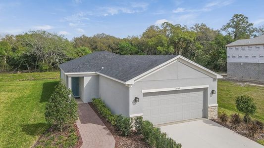 New construction Single-Family house 5656 Loggia Lane, Kissimmee, FL 34758 - photo 0