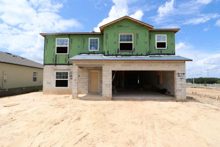 New construction Single-Family house 12219 Hilltop Farms Dr, Dade City, FL 33525 Malibu- photo 29 29