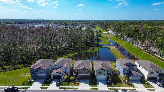 New construction Single-Family house 2244 Teneroc Trl, Lakeland, FL 33801 Atlanta- photo 43 43