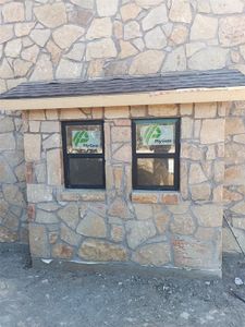 New construction Single-Family house 105 Harbour Town Dr, Graford, TX 76449 - image