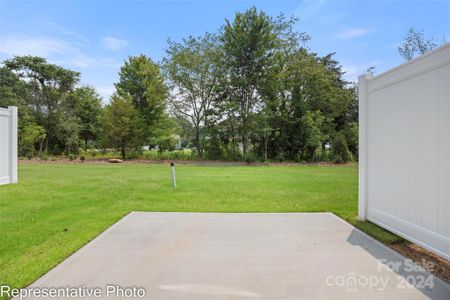 New construction Townhouse house 4131 Black Court, Unit 170, Harrisburg, NC 28075 - photo 38 38