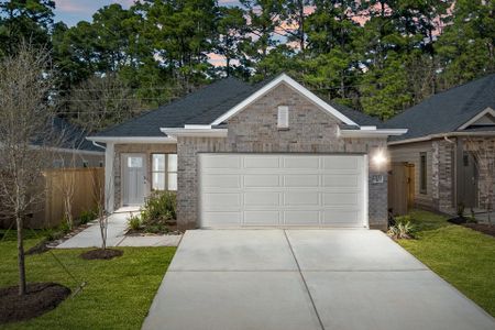 New construction Single-Family house 12048 Moonlight Path Dr, Conroe, TX 77304 plan Gray - image