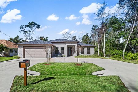 New construction Single-Family house 11 Ethan Allen Dr, Palm Coast, FL 32164 - image