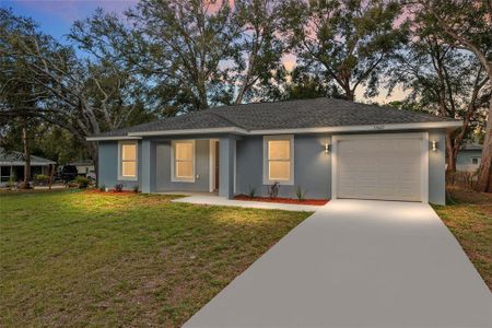 New construction Single-Family house 15131 Sw 38Th Street Rd, Ocala, FL 34481 - image