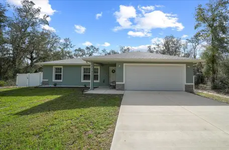 New construction Single-Family house 41 Fisher Way Run, Ocklawaha, FL 32179 - image