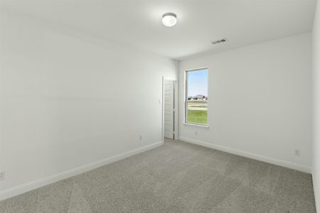 New construction Single-Family house 313 Hollingsworth Ln, Glenn Heights, TX 75154 plan Brady - image 19