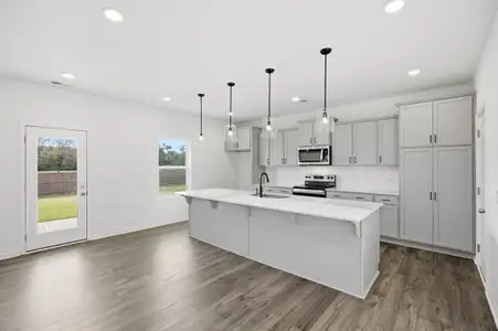 New construction Single-Family house 1007 Toland Dr, St. George, SC 29477 plan The Lenox - image