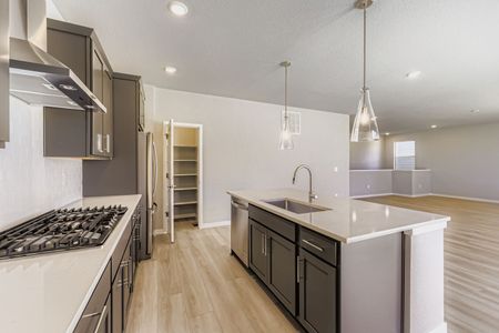 New construction Single-Family house 13763 Daffodil Wy, Parker, CO 80108 plan Silverthorne - image 9