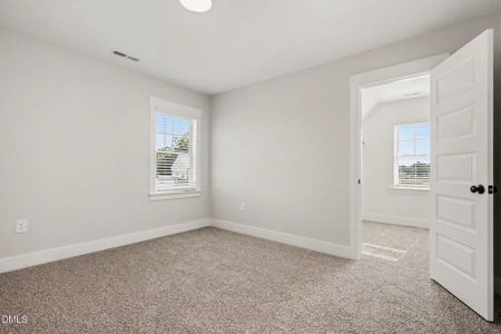 New construction Single-Family house 53 Howell Farm Dr, Unit (Lot 34), Selma, NC 27576 - image 19