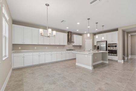 New construction Single-Family house 38462 Tobiano Lp, Dade City, FL 33525 plan Casanova - image 8