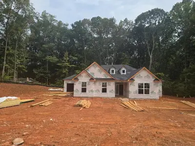 New construction Single-Family house 1100 Gardner Rd, Stockbridge, GA 30281 - image