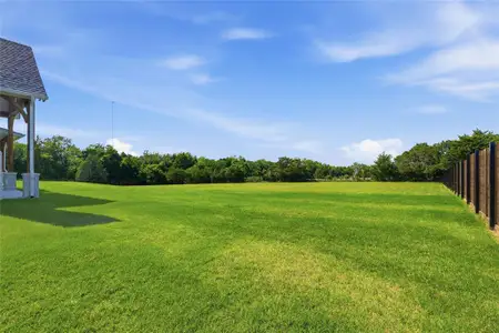 New construction Single-Family house 4411 Tea Olive Trl, Midlothian, TX 76065 - image 3
