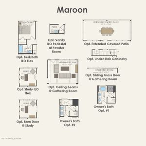 New construction Single-Family house Aubrey, TX 76227 plan Maroon - image 5