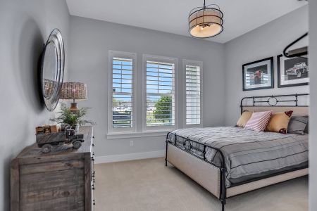 New construction Single-Family house 63 Courtney Oaks Dr, St. Augustine, FL 32092 plan Lola - image 16