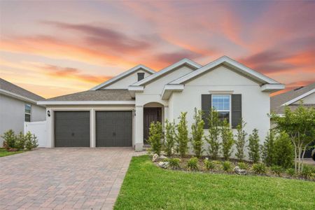 New construction Single-Family house 2101 Axel St, Minneola, FL 34715 - image