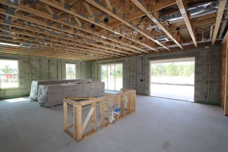 New construction Single-Family house 1925 Drummond Pt, Zephyrhills, FL 33541 Grandshore II- photo 23 23