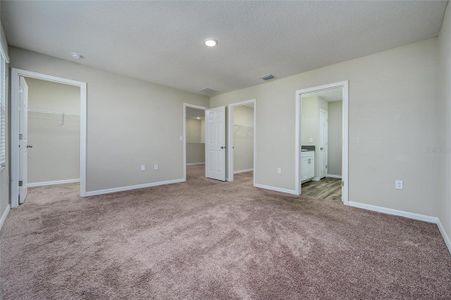 New construction Single-Family house 34200 Scarlet Sage Ct, Wesley Chapel, FL 33545 plan Turquesa - image 12