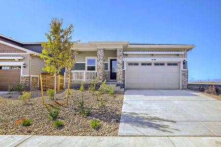 New construction Single-Family house 6134 Drum Pl, Loveland, CO 80538 plan Dolly - image