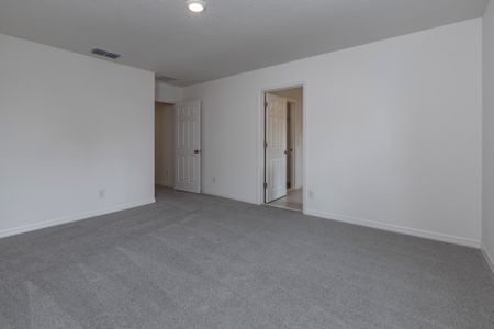 New construction Single-Family house 185 Glass Onion Dr, Groveland, FL 34737 plan Douglas - image 19