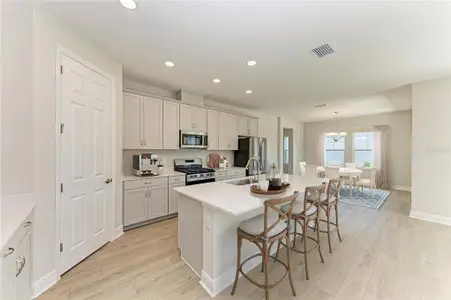 New construction Single-Family house 8502 Dove Bog Ter, Parrish, FL 34219 plan Avocet II - image 12