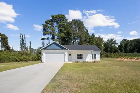 New construction Single-Family house 254 Dalton Dr, Lumber Bridge, NC 28357 - image