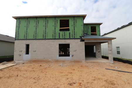 New construction Single-Family house 12294 Hilltop Farms Dr, Dade City, FL 33525 Malibu- photo 39 39