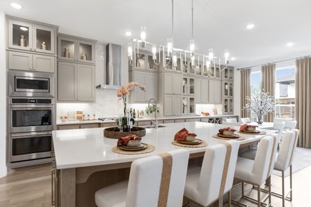 New construction Single-Family house 2036 Grey Birch Pl, Aledo, TX 76008 plan 222 - image 10